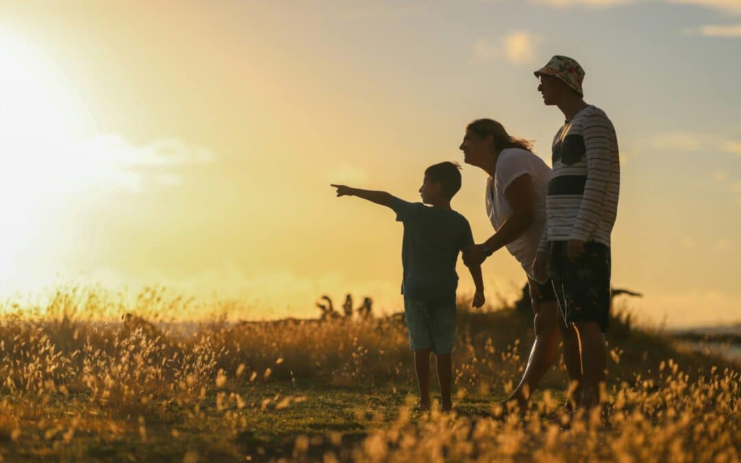 Understanding Financial Abuse in Family Law